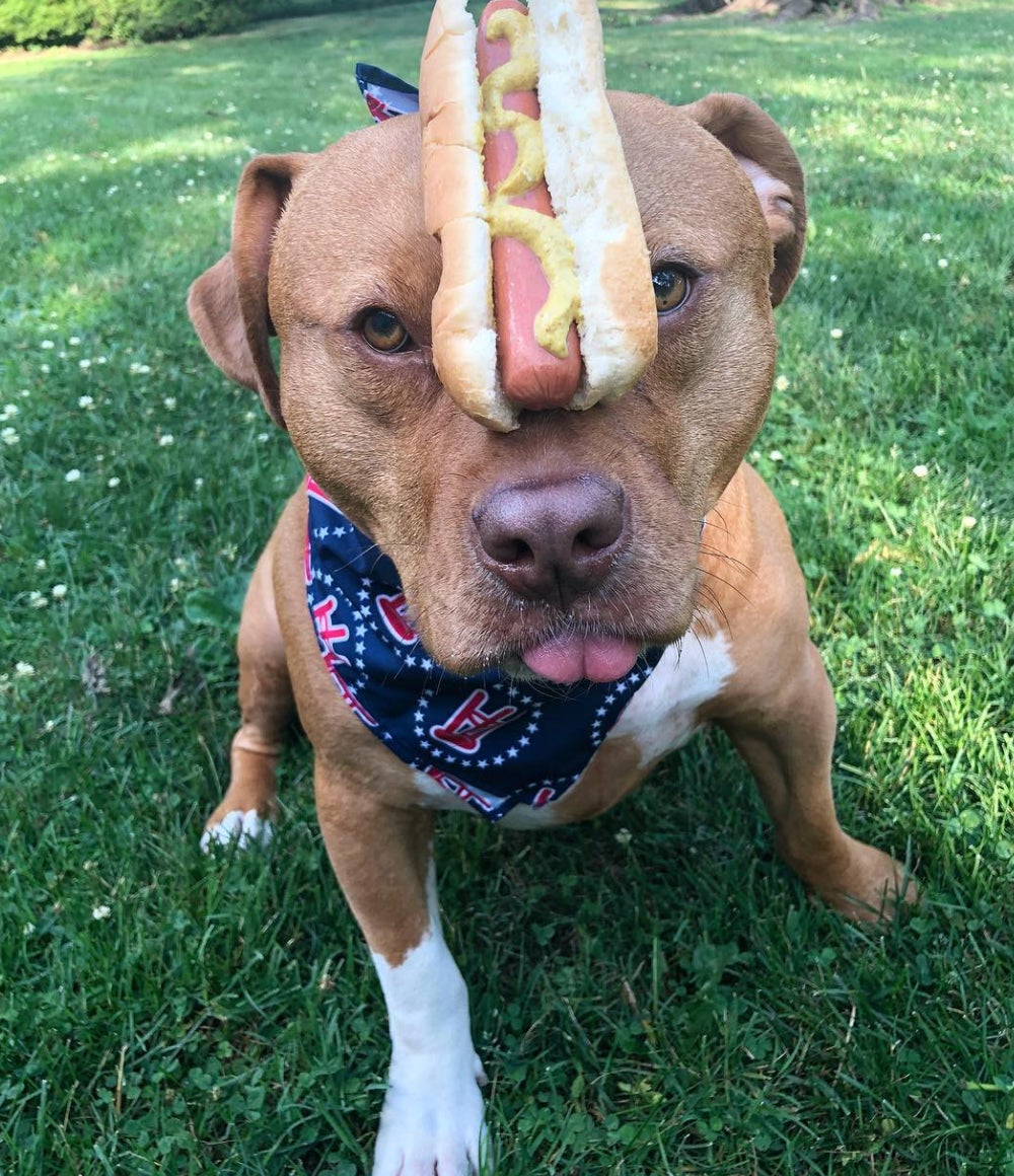 Screen Shot 2018-07-26 at 2.46.09 PM