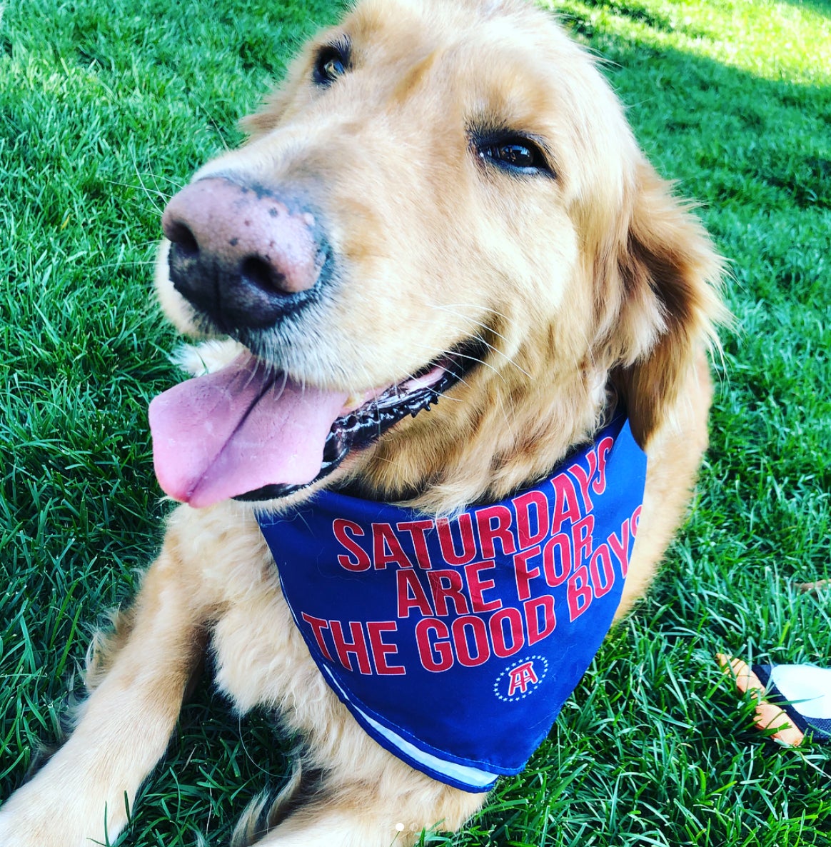 Screen Shot 2018-08-10 at 10.26.10 AM