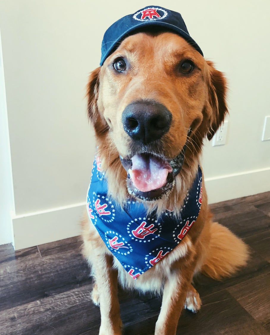 Screen Shot 2018-08-10 at 10.31.51 AM