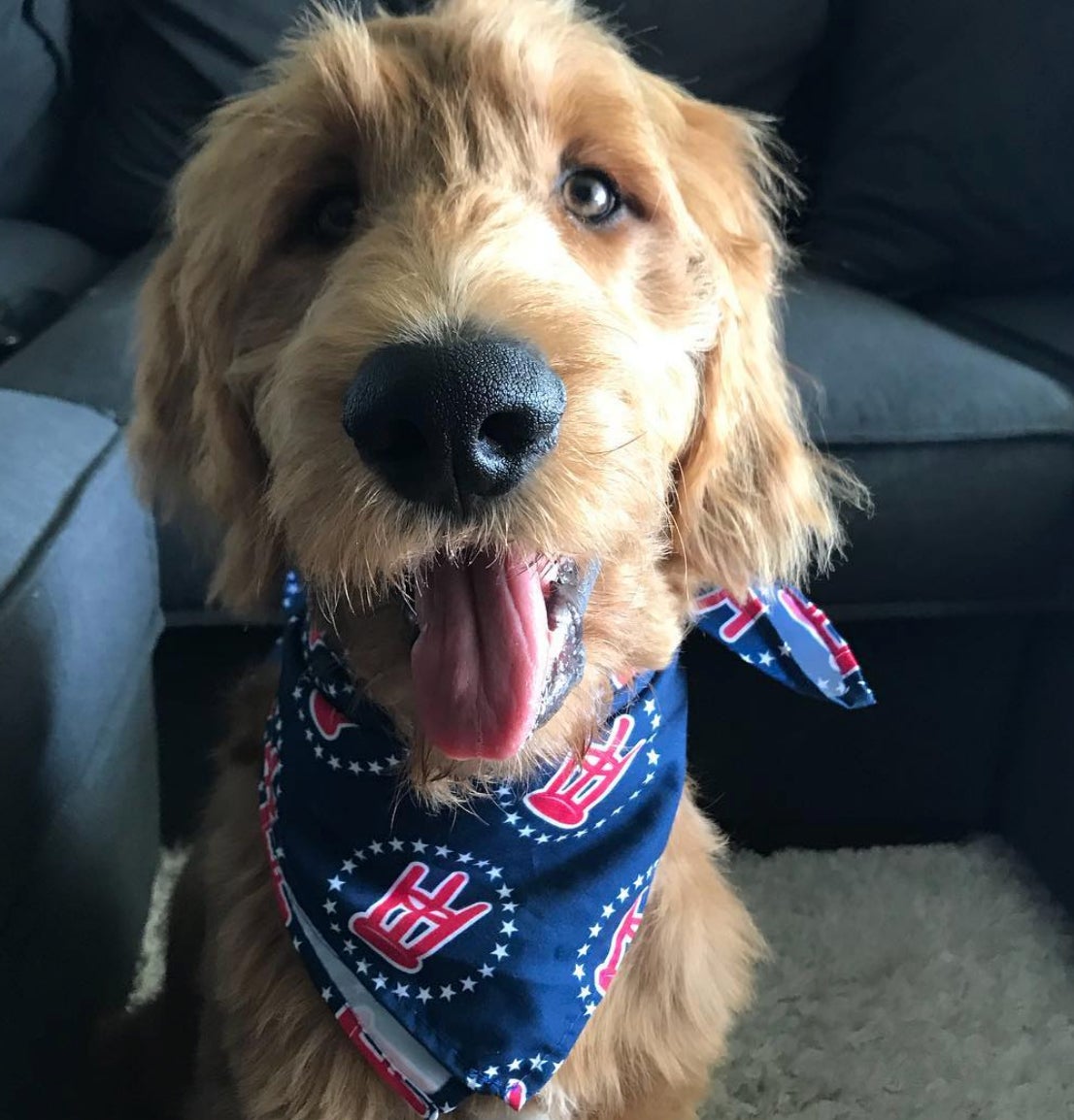 Screen Shot 2018-08-10 at 10.32.43 AM