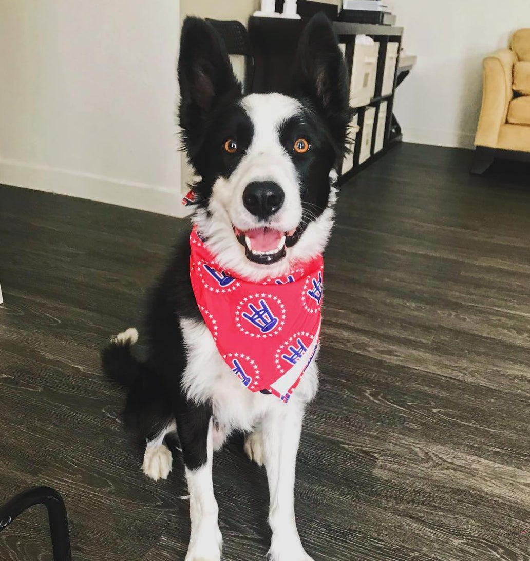 Screen Shot 2018-08-10 at 10.58.16 AM