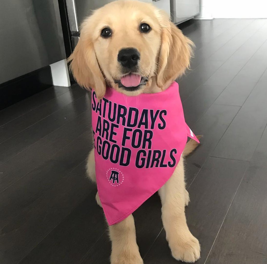 Screen Shot 2018-08-10 at 11.00.35 AM