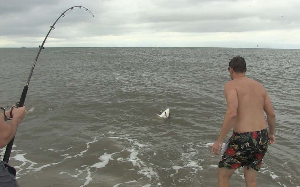 Screen Shot 2018-08-20 at 2.47.56 PM