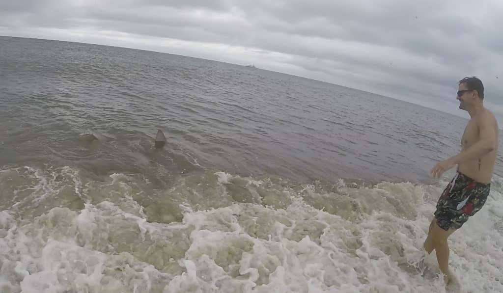 Screen Shot 2018-08-20 at 2.52.39 PM