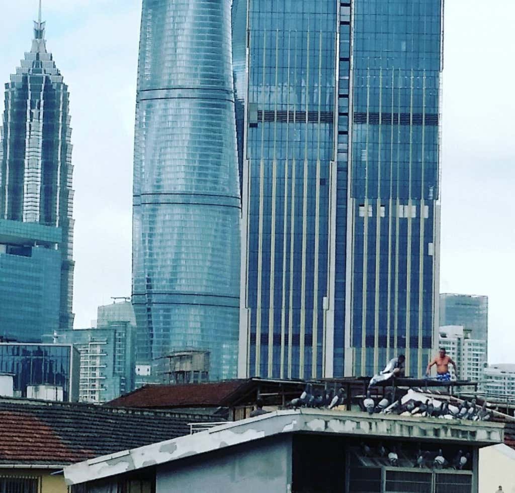 Screen Shot 2018-08-29 at 8.34.45 AM