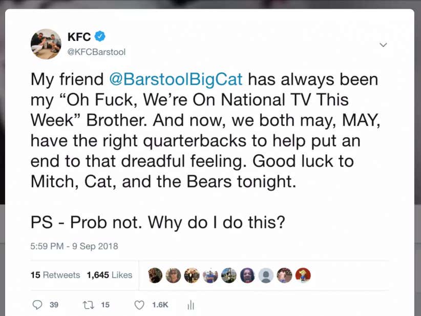 I'm Sorry To Big Cat And All The Bears Fans, And I Want To Thank Them