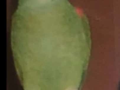 It Was A Weekend For The Birds