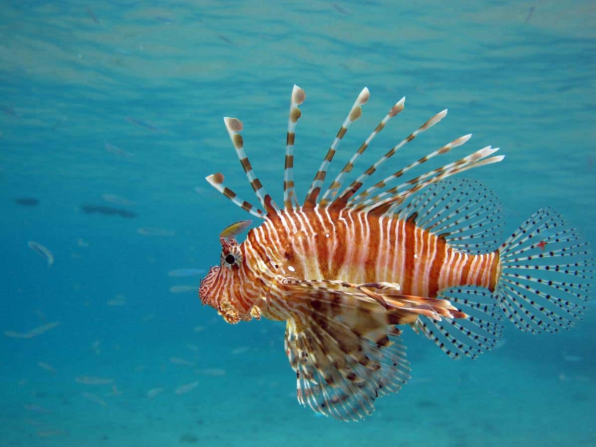 shutterstock_170589293
