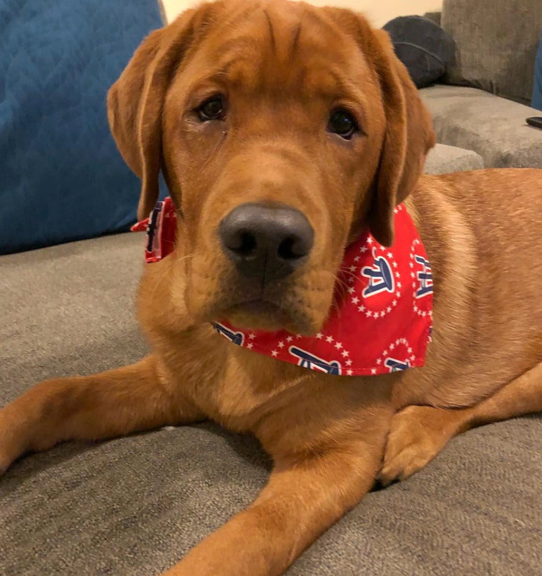 Screen Shot 2018-12-14 at 11.19.59 AM