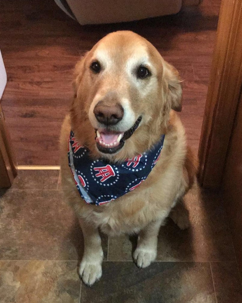 Screen Shot 2018-12-14 at 11.25.21 AM