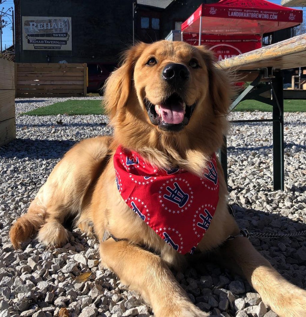 Screen Shot 2018-12-14 at 11.56.41 AM