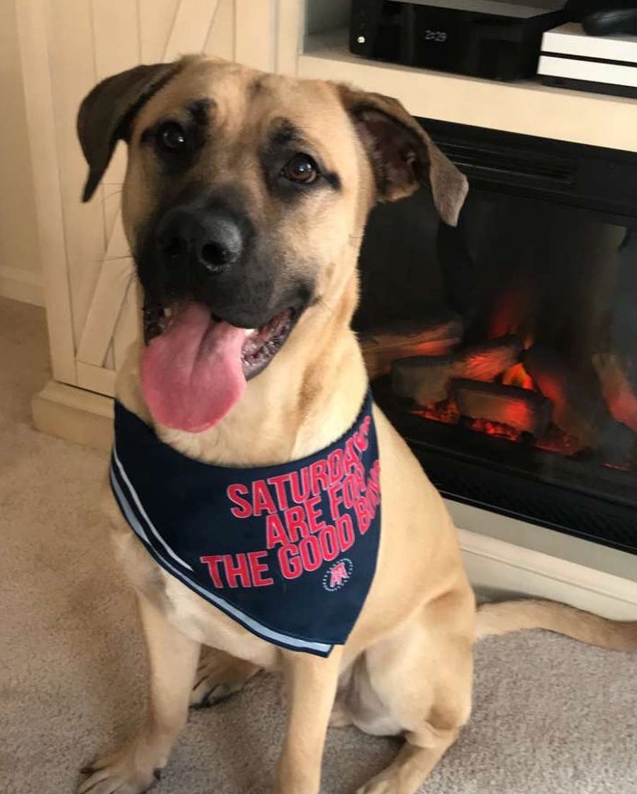 Screen Shot 2018-12-14 at 12.00.13 PM