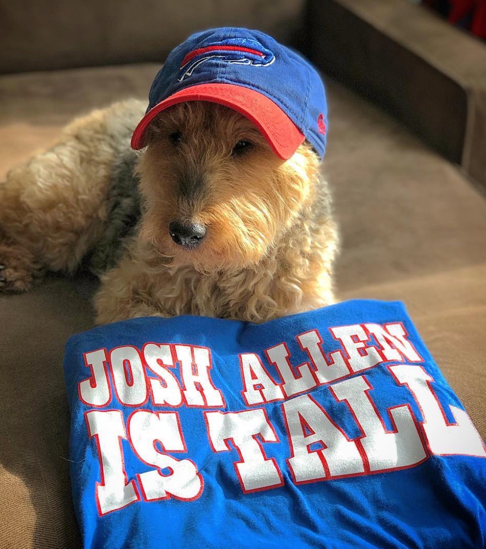 Screen Shot 2018-12-14 at 12.11.08 PM