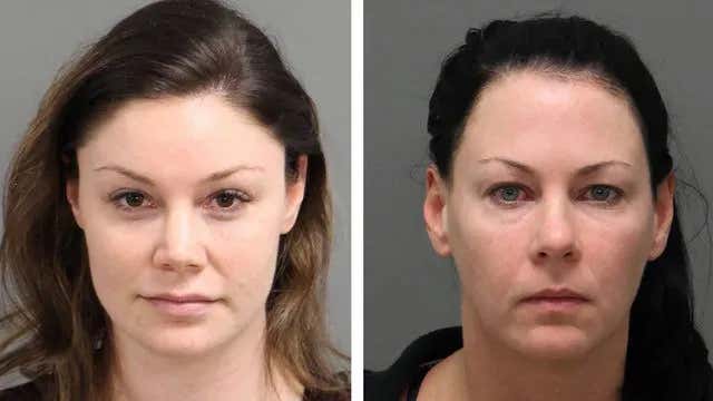 Hard Factor 1 10 Stolen 10 Million Lottery Ticket ANOTHER Dog Shoots 