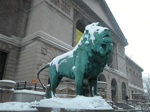 art institute