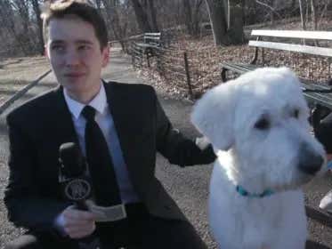 Presidents Day Trivia In Central Park