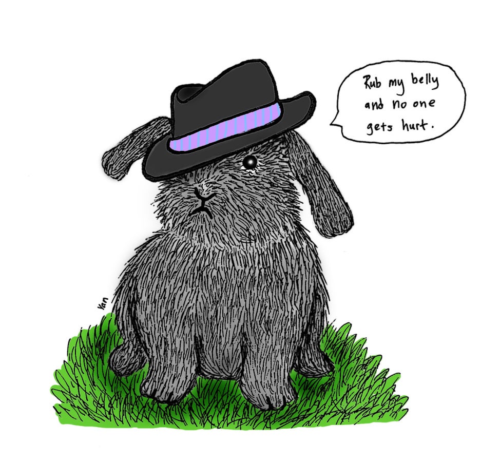 rabbit1