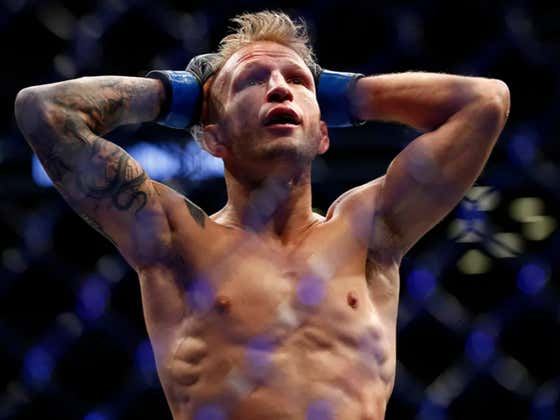 UFC Champ TJ Dillashaw Has Relinquished His Title After Failing His Latest USADA Drug Test