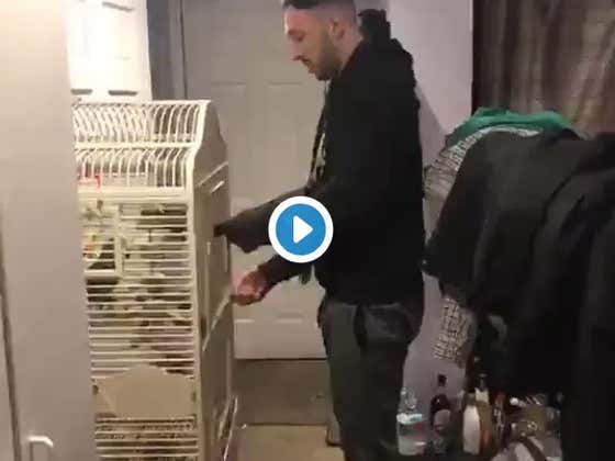 It Turns Out My Bird Hates The New Hawk Glove