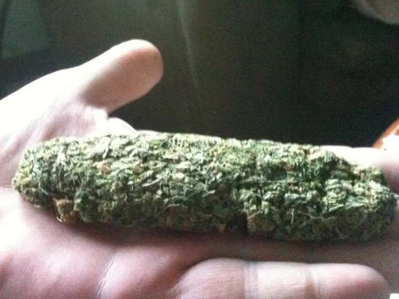 Apparently There Is All Sorts Of Poop In All Your Weed (I Have A