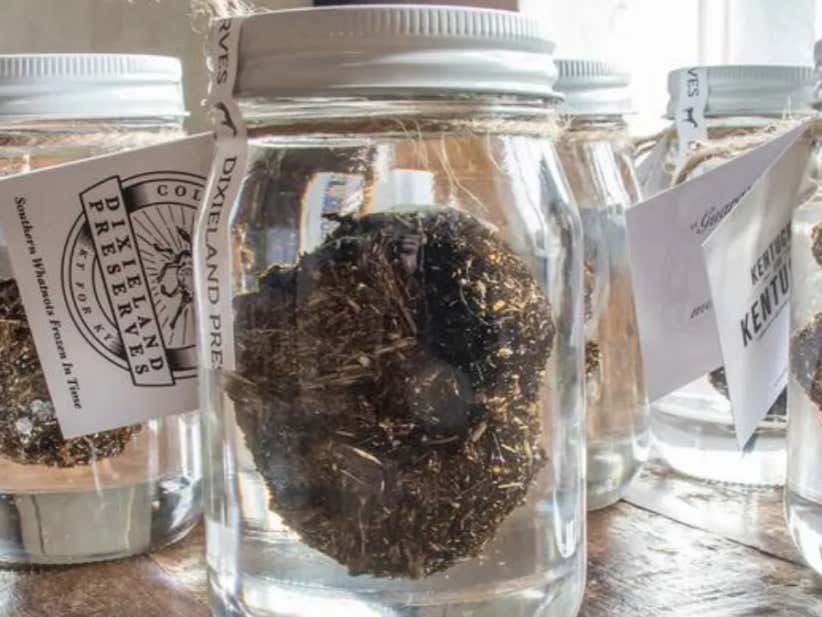 Poop From Kentucky Derby Winning Horse's Is On Sale For A Low Price Of