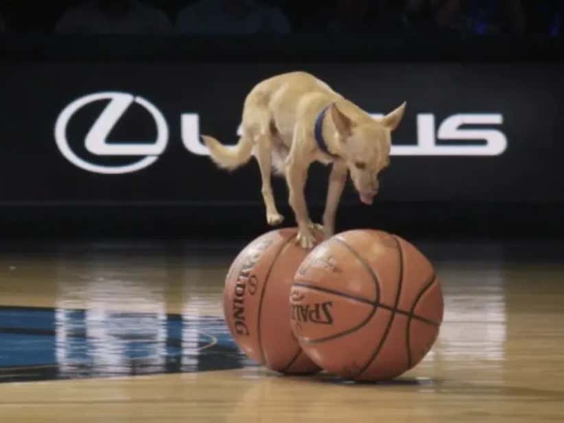 "Half: The Story" Episode 2, Christian And Scooby