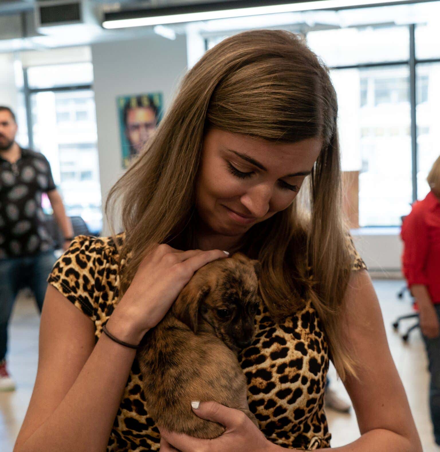 Barstool Sports Intern Fran Bruin Blog