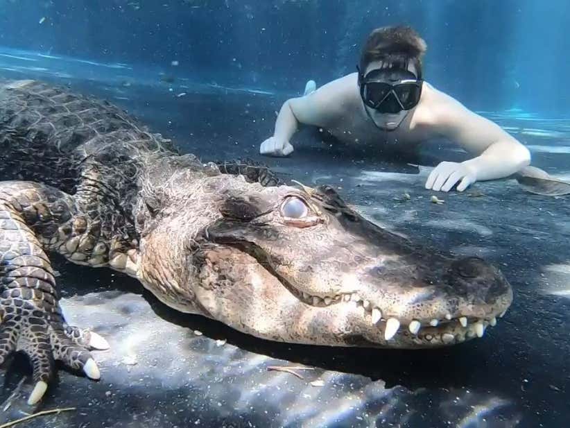 There's Only One Man Who Can Protect Barstool HQ From an Alligator Invasion