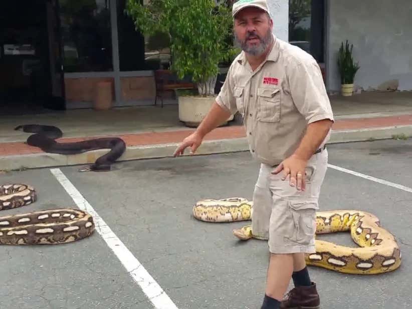 Friday's Dog Walk Snake Guy From Brookfield Zoo Barstool Sports