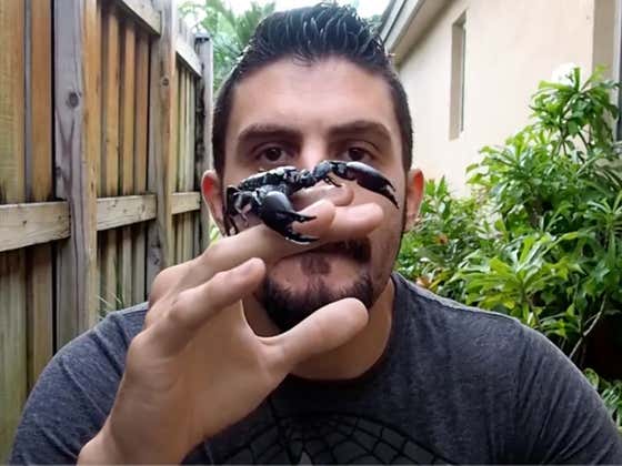 Giant Scorpion Crawls Out Of Mans Mouth