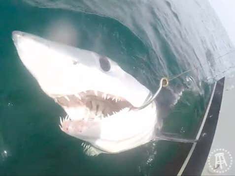 Episode 4 of Barstool Outdoors Drops Tomorrow