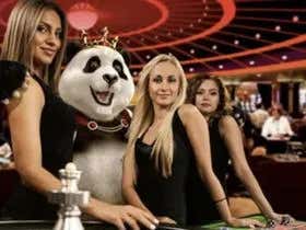The Bookie Chronicles: Volume 29