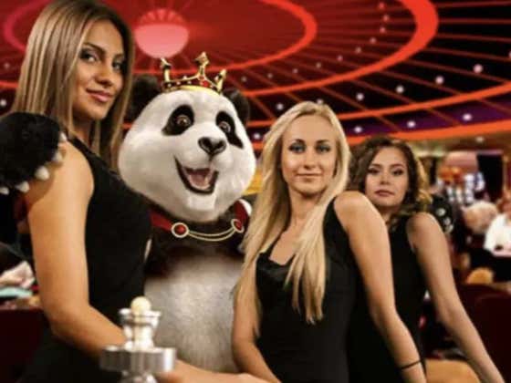 The SportsBook Chronicles Volume 31