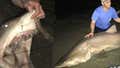 Barstool Outdoors Episode 8 - Gym, Tan, Sharkin - Jersey Shore Giant Tagging