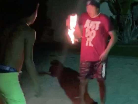 Hot Hands, Hot Hands!