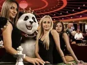 The SportsBook Chronicles Volume 33