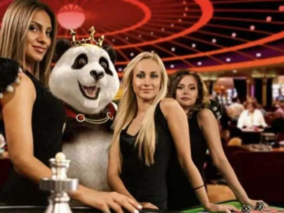 The SportsBook Chronicles - Volume 34