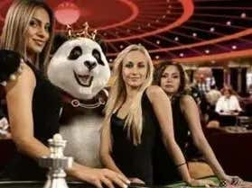 The SportsBook Chronicles - Volume 36