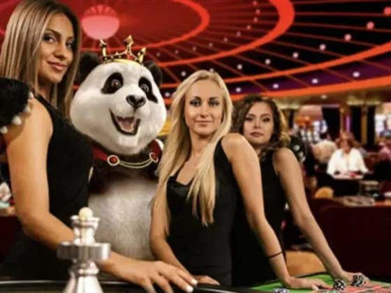 The SportsBook Chronicles - Volume 37