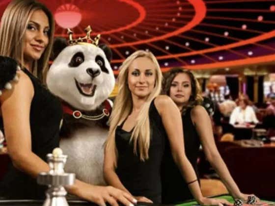 The SportsBook Chronicles - Volume 38