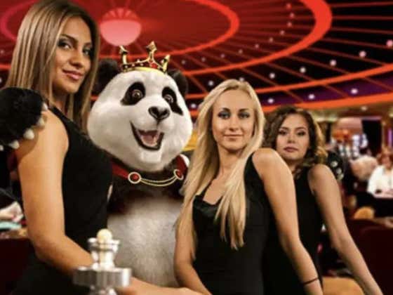 The SportsBook Chronicles - Volume 42