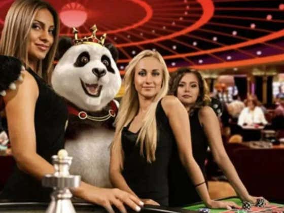 The SportsBook Chronicles - Volume 43