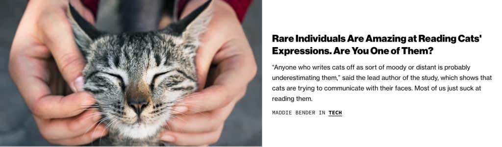 Screen Shot 2019-12-03 at 8.47.21 AM