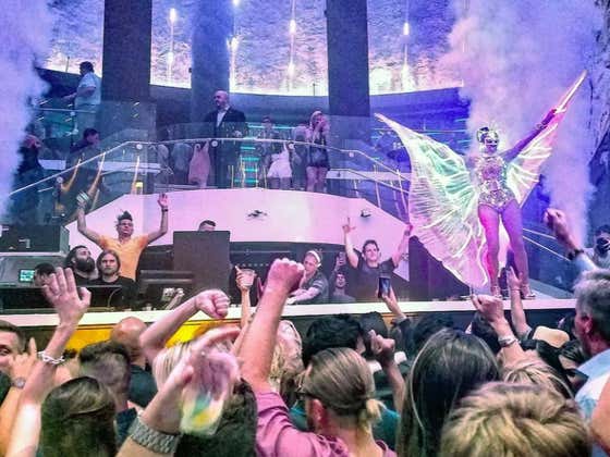 Wednesday's Dog Walk: Vegas Bottle Girl Part I