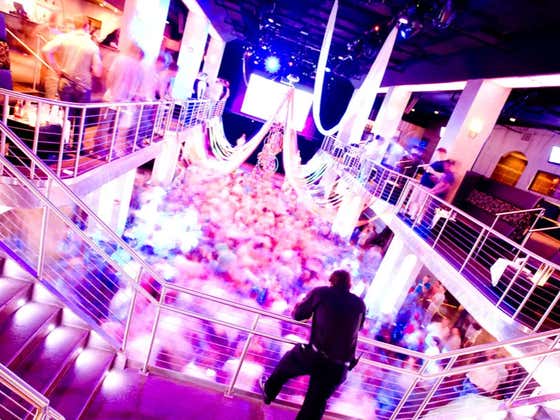 Thursday's Dog Walk: Vegas Bottle Girl Part II