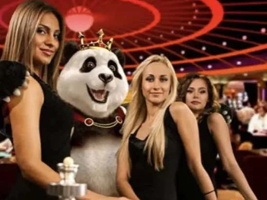 The SportsBook Chronicles - Volume 45