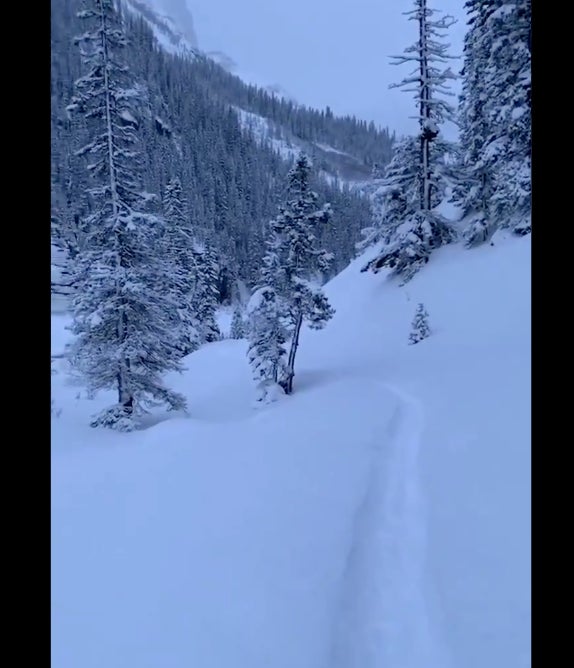 Screen Shot 2019-12-11 at 9.55.14 AM